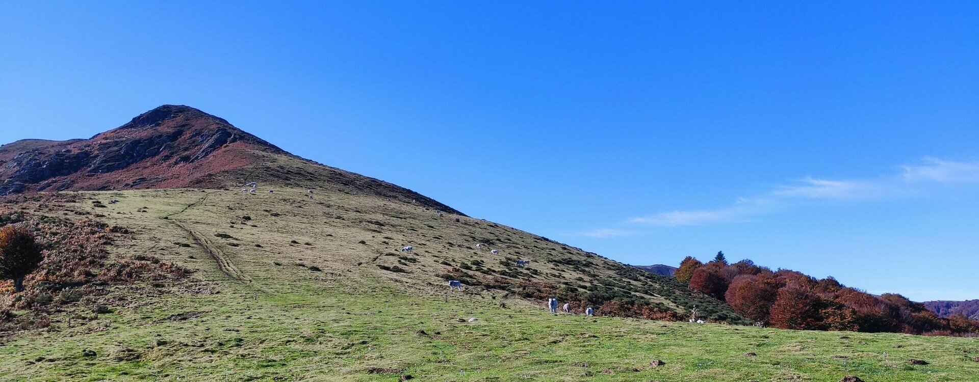 Bienvenue sur le site officiel de la mairie de Brassac (09) Ariège